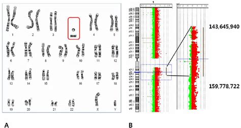 Chromosome Microarray に対する画像結果