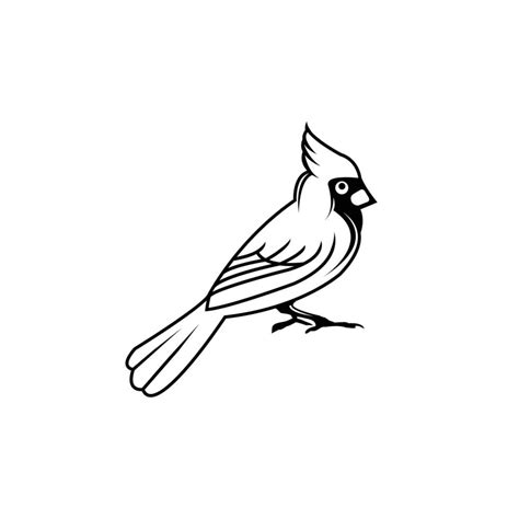 Toradh íomhá ar Cardinal Bird Outline Drawing