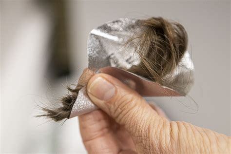 Image result for Hair Sample Drug Test