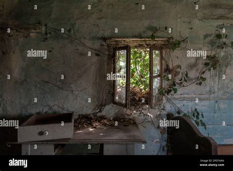 Image result for Open Window From Wooden House