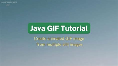 Image result for Import GIF into Java