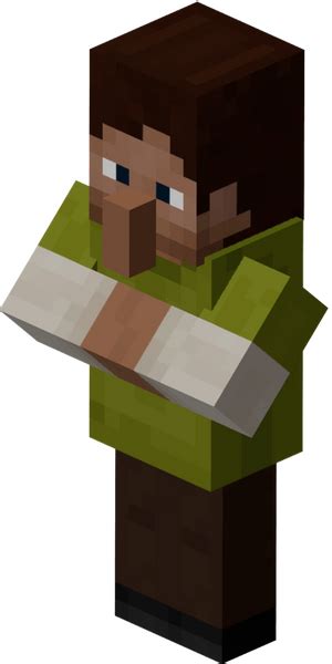 Image result for NPC Java Minecraft