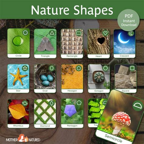Image result for 2D Shapes Learning Resources Etsy