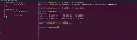 Toradh íomhá ar Web Programming in Assembly