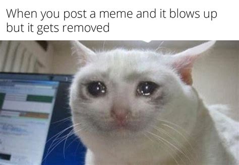 Crying Miss You Meme に対する画像結果