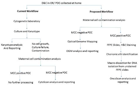 Image result for Labo Workflow Flowchart