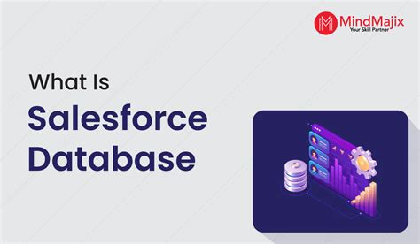 Image result for Salesforce Database Icon