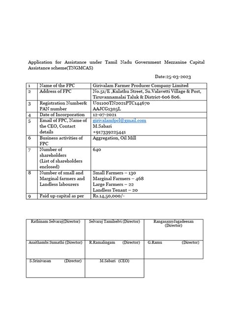 Image result for UK MCA Risk Assessment Form PDF