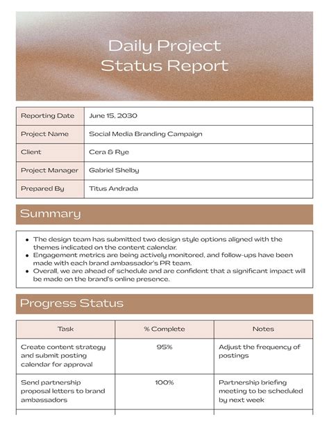 Toradh íomhá ar Daily Status Report for Project Manager Creative