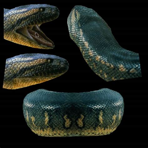 Anaconda Python Snake に対する画像結果