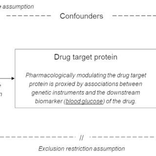 Image result for Mendelian Randomization Studies