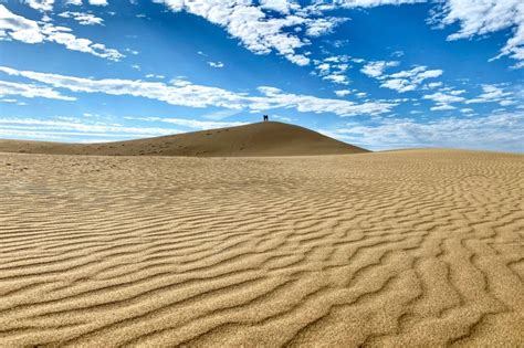 Image result for 鳥取 砂丘