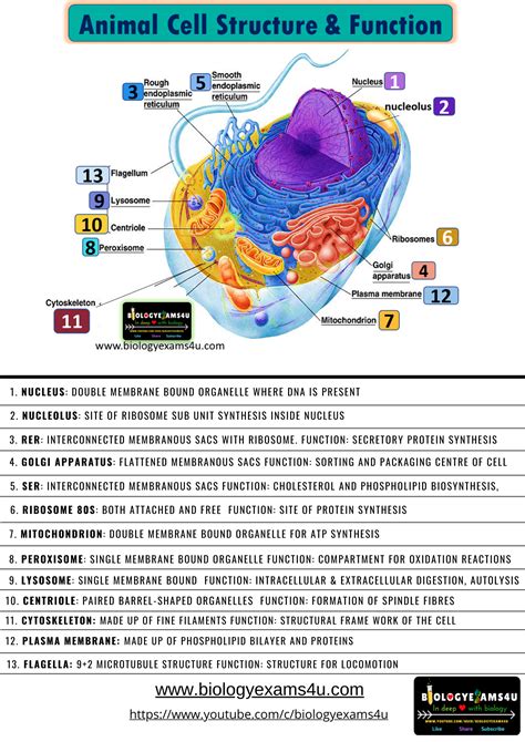 Toradh íomhá ar Function Structure in C