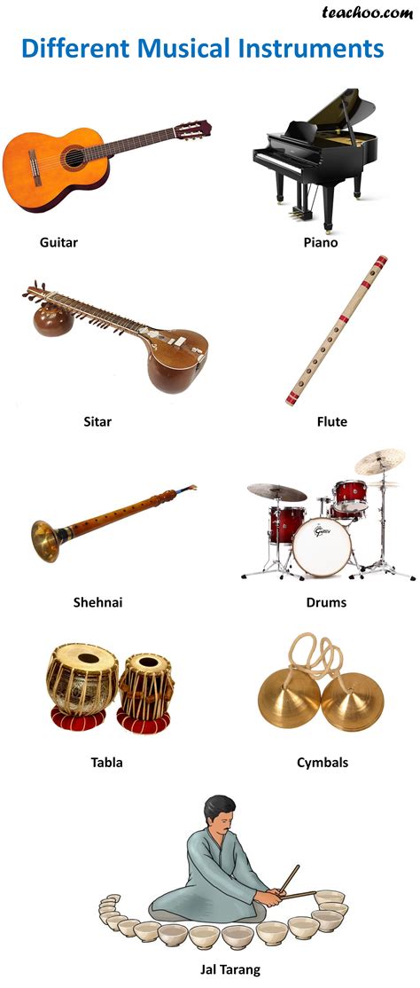 Image result for Different Types of String Instruments