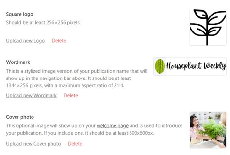 Image result for Where Is Publication Logo Substack