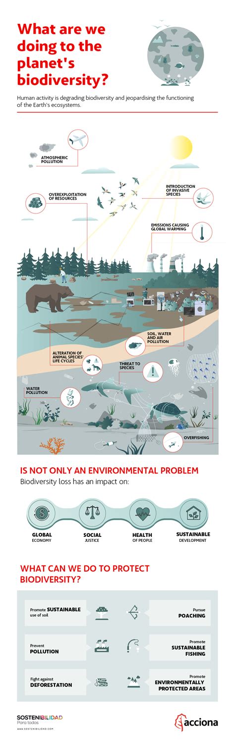 Image result for Biodiversity Loss Graph