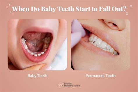 Image result for First Tooth Fall Out