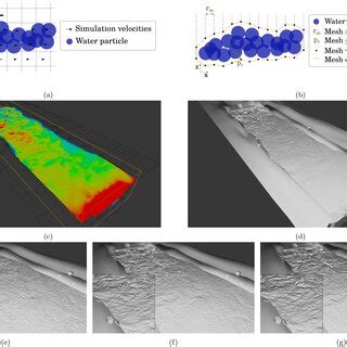 Image result for Simulation of Tissue Fluid