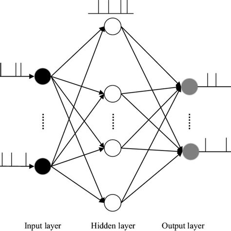 Afbeeldingsresultaten voor Spiking Neural Network Ranc