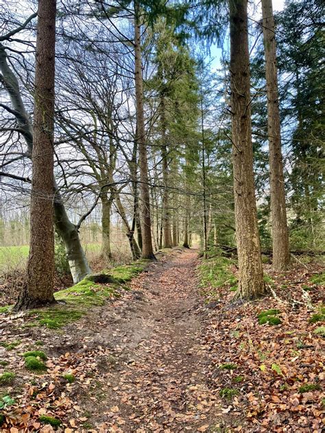 Toradh íomhá ar Dikke Bij