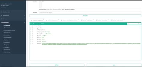 MongoDB Manager に対する画像結果