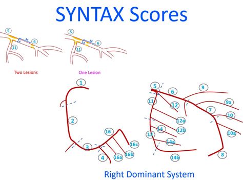 Image result for Syntax Score Chart