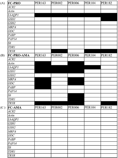 Image result for Stages of Gene Expression