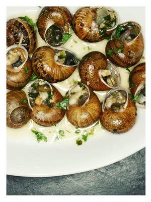 Image result for Cook Snails