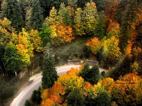 Image result for Autumn Artwork