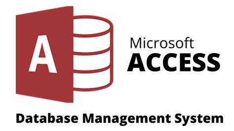 Database System and MS Access に対する画像結果