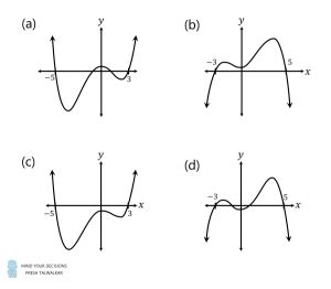 Image result for Polynomial Graph with Solution