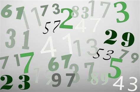 Image result for Prime Number List Program in Python Print 1 to 100