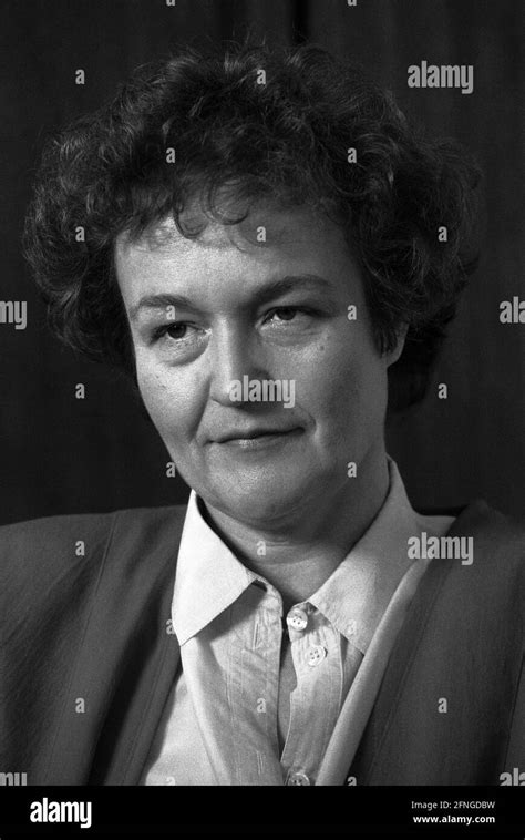 Image result for Automated Machine Learning Examples