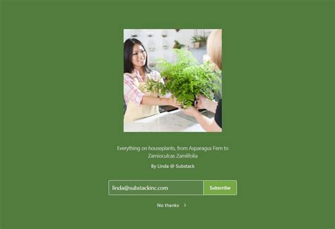 Image result for What Is a Cover Image On Substack