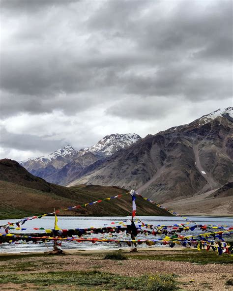 Image result for My Forever Place