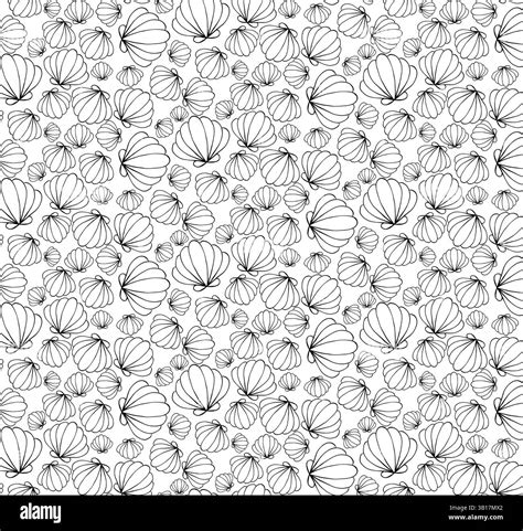 Up Close Seashell Pattern に対する画像結果