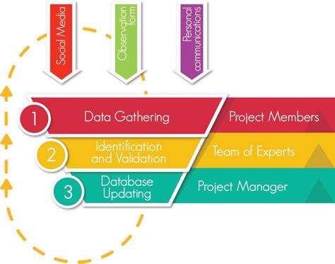 Database Update Process に対する画像結果