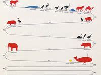 Toradh íomhá ar Pictogram Data Visualization