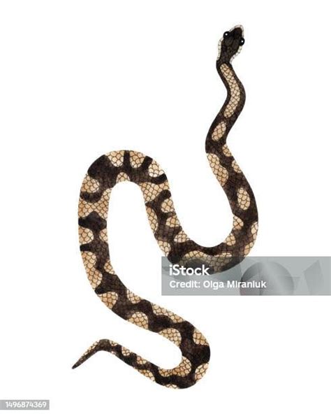 Toradh íomhá ar Formen Auf Python