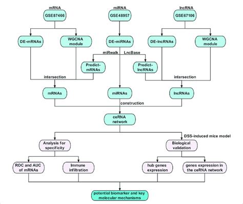 Binary Analysis Flow Chart ಗಾಗಿ ಇಮೇಜ್ ಫಲಿತಾಂಶ