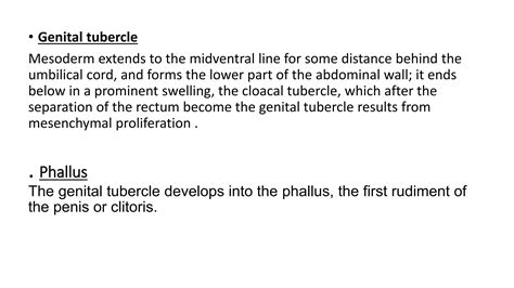 Genital Tubercle に対する画像結果