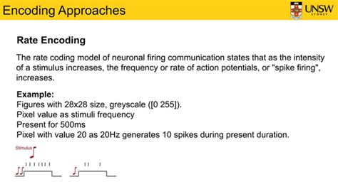 Image result for Phase Encoding Method in Spiking Neural Network