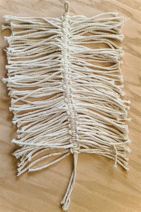 Image result for Macrame Feathers DIY