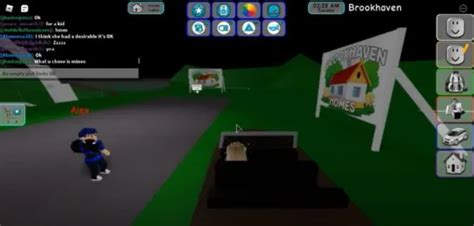 Image result for Roblox Chat Brookhaven