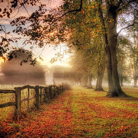 Image result for Autumn Path