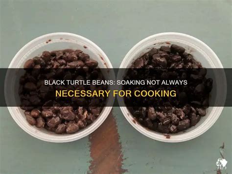 Afbeeldingsresultaten voor Cooking Beans without Soaking