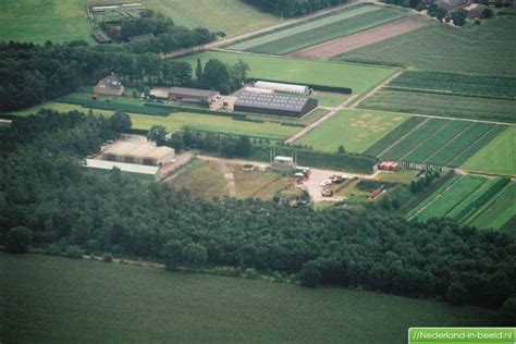 Image result for Java Schijf