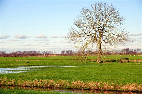 Image result for Vliesje UI