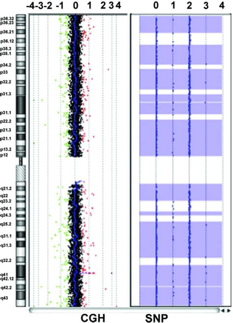 Chromosome Microarray に対する画像結果