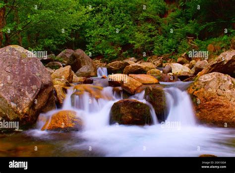 Dissolving Rock Salt-এর ছবি ফলাফল